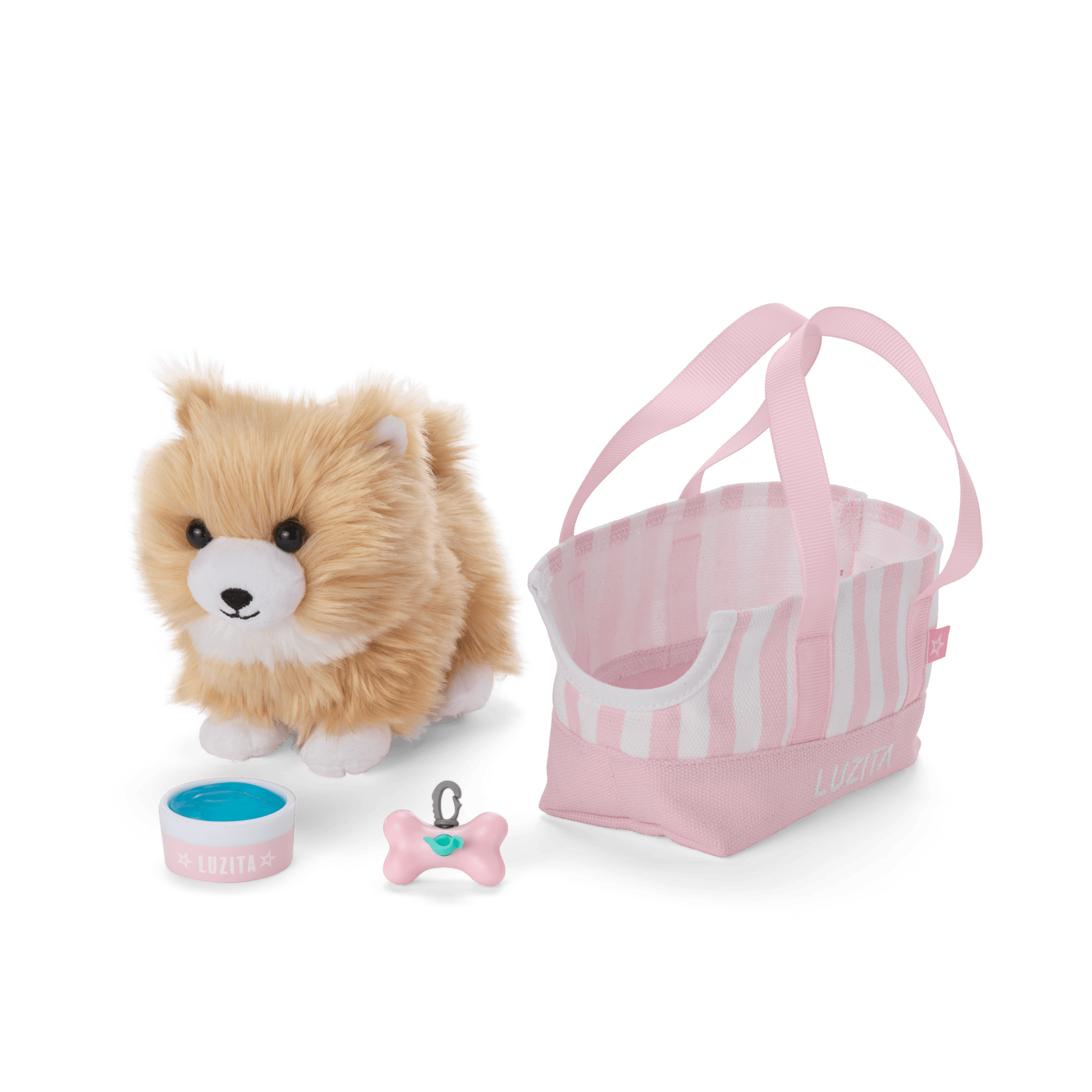 Raquel's Dog, Luzita (Girl Of The Year 2026)