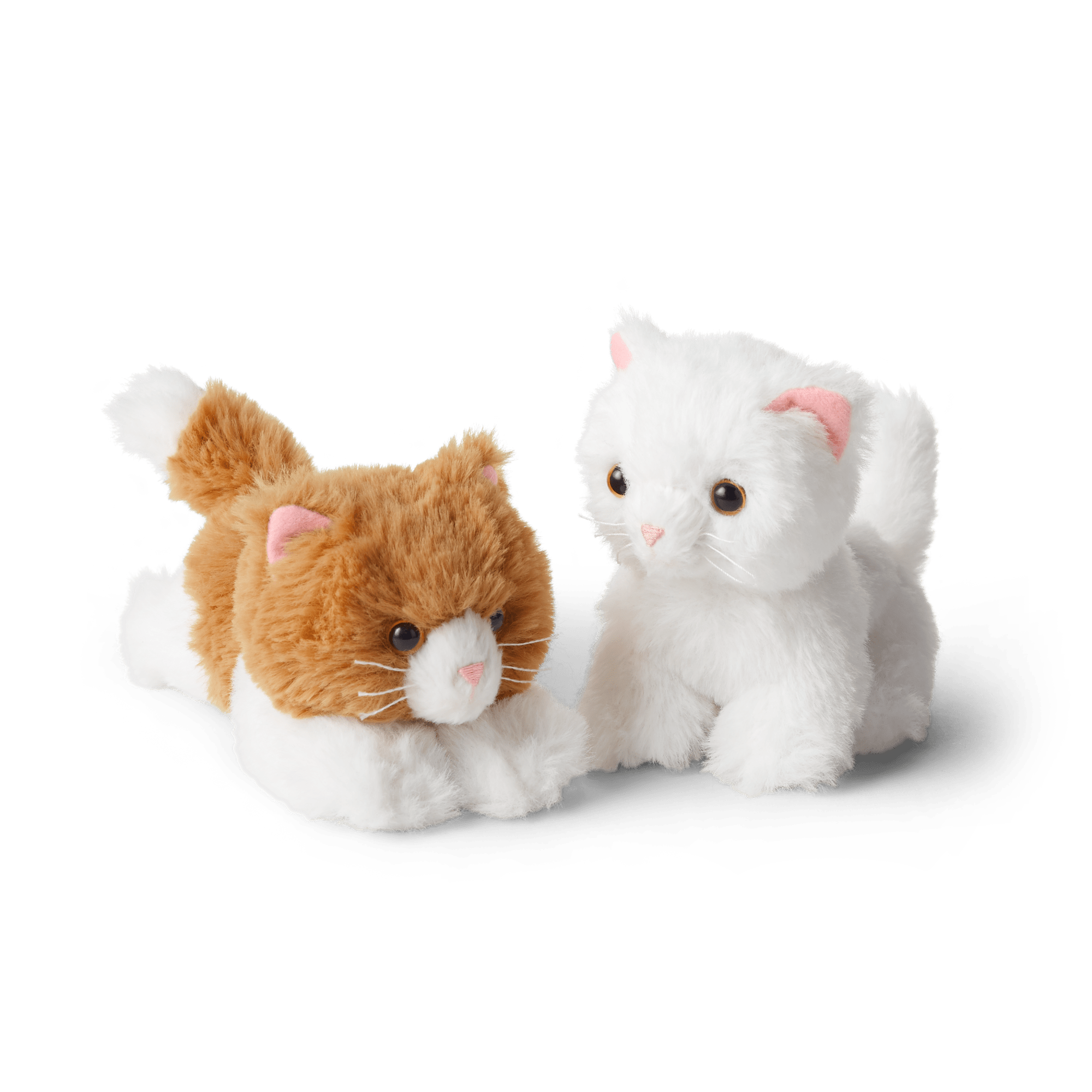 Rebecca's Kittens (Historical Characters)